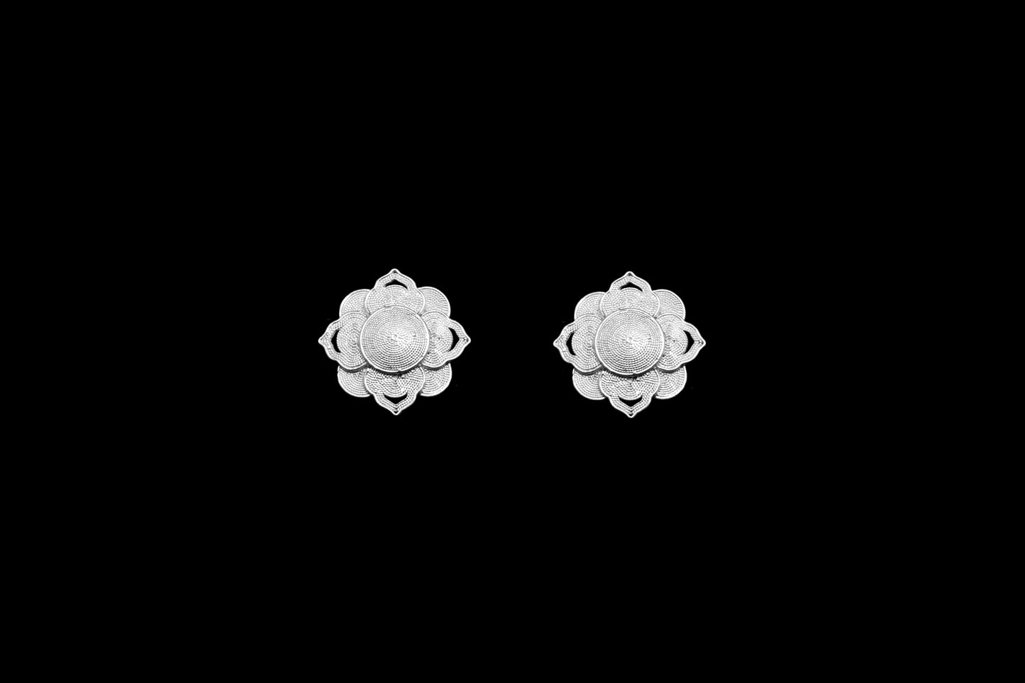 Ceiling Motif Earrings