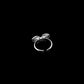 Disc Cluster Ring