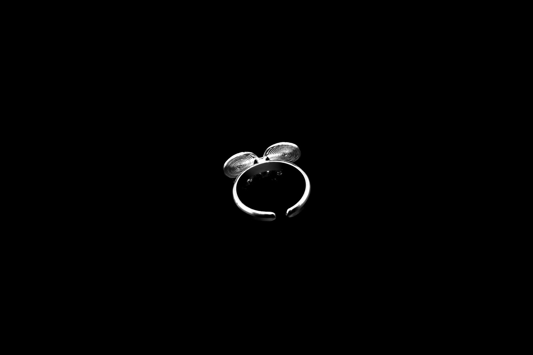 Disc Cluster Ring